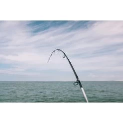 CANNE BATEAU SEABOAT 500 250 POWER TRAVEL PECHE EN MER -Pêche en mer Magasin canne bateau seaboat 500 250 power travel peche en mer 9