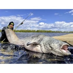 Canne Silure Black Cat Perfect Passion XH-S (510g - 3m20 - Max 350g - 2 - 160cm) 7 Canne Silure Black Cat Perfect Passion XH-S (510g - 3m20 - Max 350g - 2 - 160cm) -Pêche en mer Magasin canne silure black cat perfect passion xh s 510g 3m20 max 350g 2 160cm 3