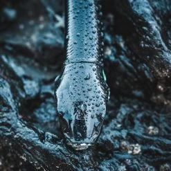 COMBO Leurres Souples Shad Texan ANCHO 120 50g Dos Noir/dos Blanc Pêche En Mer -Pêche en mer Magasin combo leurres souples shad texan ancho 120 50g dos noirdos blanc peche en mer 4