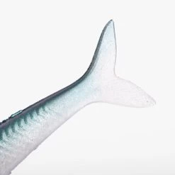 COMBO Leurres Souples Slug SLUGEELO 160 Ayu/Bleu -Pêche en mer Magasin combo leurres souples slug slugeelo 160 ayubleu 4