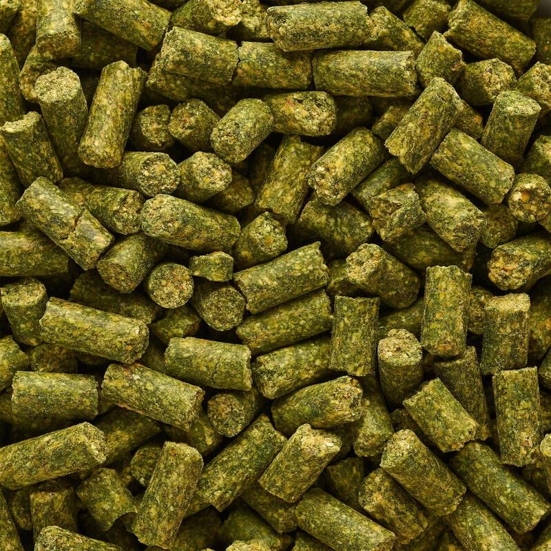 GOOSTER PELLET BABY CORN CHENEVIS EPICE 8MM 0,7KG POUR PECHER LA CARPE AU COUP 2 GOOSTER PELLET BABY CORN CHENEVIS EPICE 8MM 0,7KG POUR PECHER LA CARPE AU COUP – Image 2