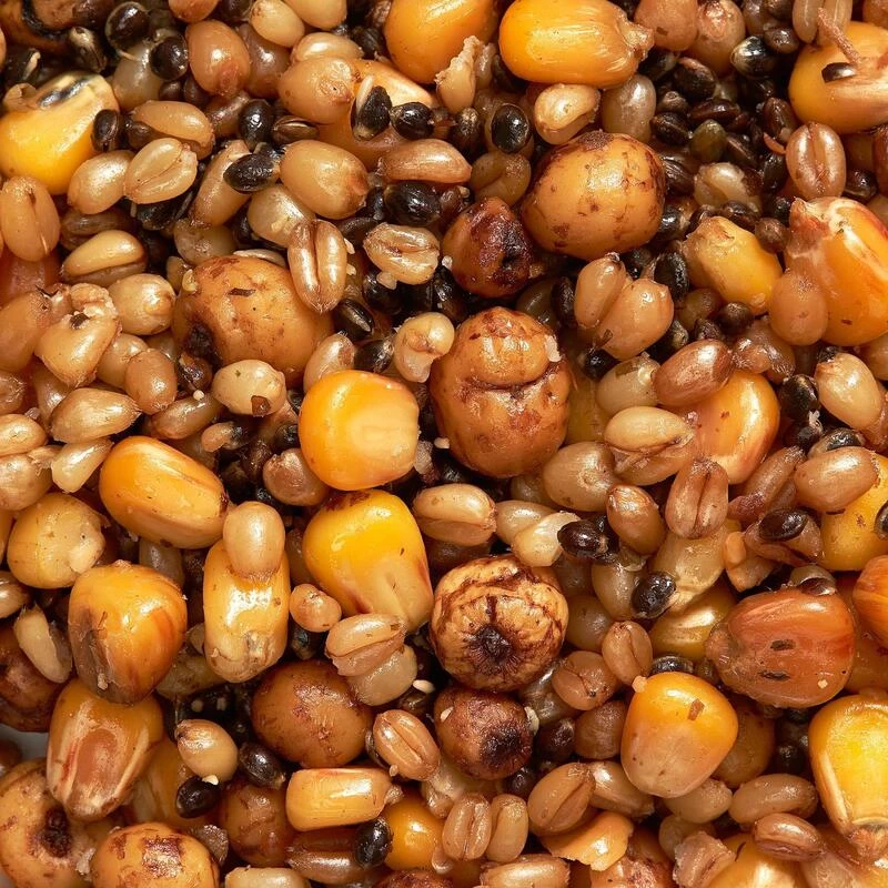 Mélange Graines Cuites 1kg Graines Pêche De La Carpe 2 Mélange Graines Cuites 1kg Graines Pêche De La Carpe – Image 2