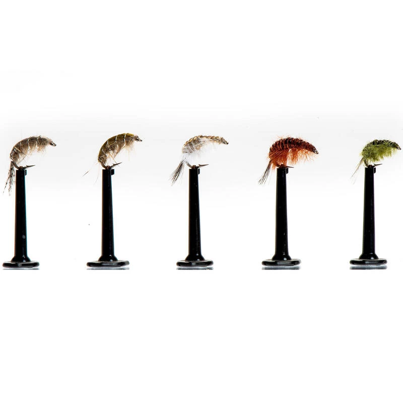 PECHE A LA MOUCHE PACK NYMPHE GAMMARE 1 PECHE A LA MOUCHE PACK NYMPHE GAMMARE