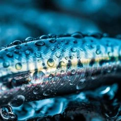 Poisson Nageur SAXTON 75S MAQUEREAU VERT Pêche Au Leurre En Mer -Pêche en mer Magasin poisson nageur saxton 75s maquereau vert peche au leurre en mer 4