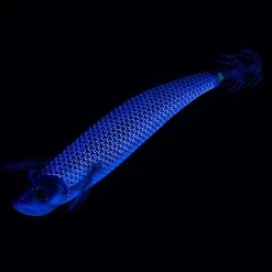 Turlutte Ultra Coulante TYP RUN EBIFISH 3.0/120 Naturel Mullet Pêche Calamar 14 Turlutte Ultra Coulante TYP RUN EBIFISH 3.0/120 Naturel Mullet Pêche Calamar -Pêche en mer Magasin turlutte ultra coulante typ run ebifish 30120 naturel mullet peche calamar 4