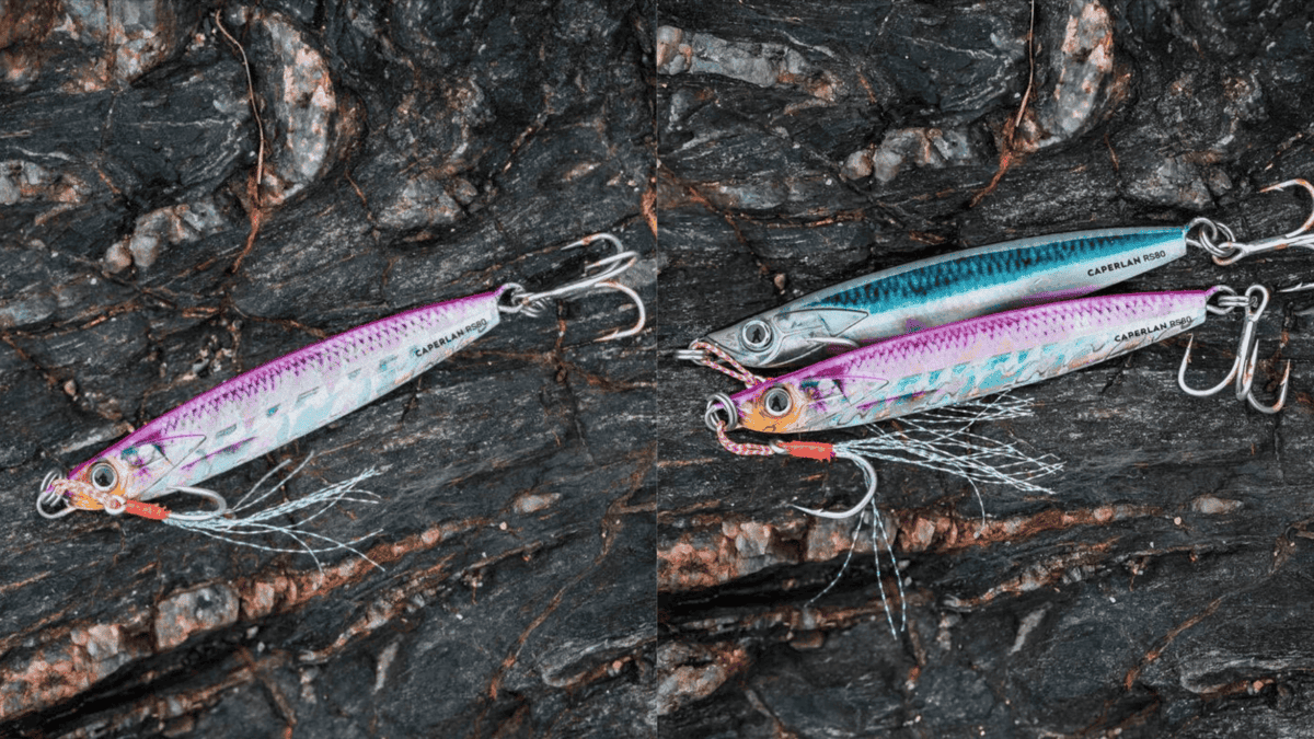 Pêche en mer Magasin -Pêche en mer Magasin BeautyPlus Collage 2025 08 13T07 00 27 1 3 1